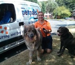 Dog Boarding Kennels In Southampton Area Dog Boarding Kennels In Southampton Area