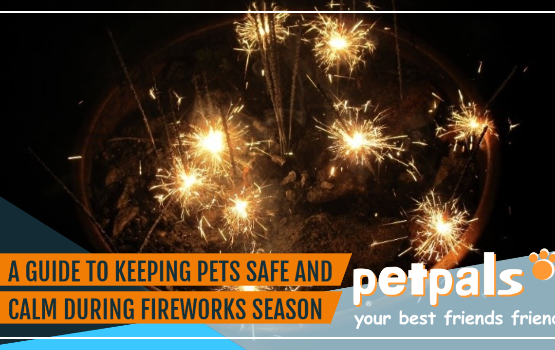 The Petpals Guide to keeping your pets safe and calm during fireworks season