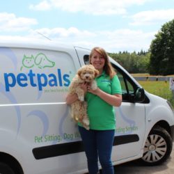 Pet and Vet Taxi
