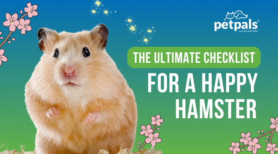 The ultimate checklist for a Happy Hamster